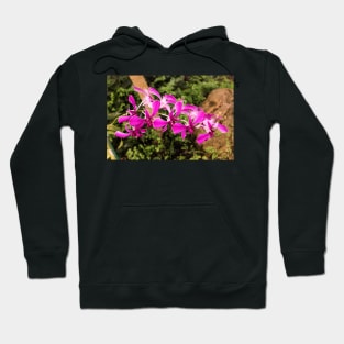 Purple orchid Hoodie